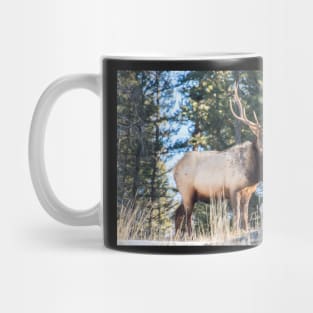 Majestic Mug